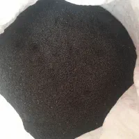 انواع بذر پیاز