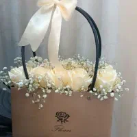 تزیینی و زیبا