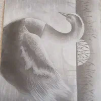 نقاشی سیاه قلم ،طرح قو