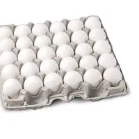 فروش عمده تخم مرغ