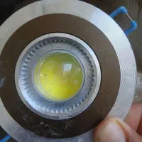 تعداد سی عدد هالوژن سالم
