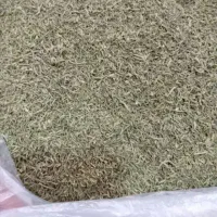 مرزه خشک