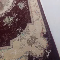 فرش|فرش|مشهد, دانشجو|دیوار