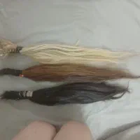 تعدادی موی طبیعی کات شده  سالم بدون موخوره