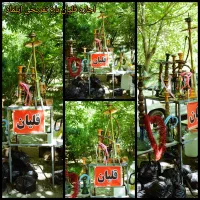 باغ تفریحی (رفتینگ) شبانه روزی و کمترین قیمت