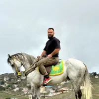 اسب دوخون همه چی تمام.