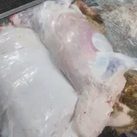 قصاب سلاخ گوسفند گاو
