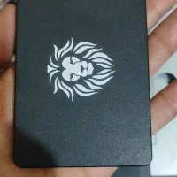 هارد ssd مدل Expins02 ظرفیت 256GB