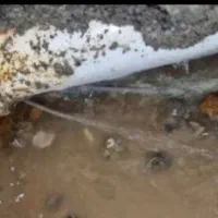 نشت یابی تصویری تضمینی با قیمت مناسب