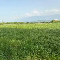 زمین فروشی