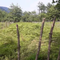 زمین ۴۰۰ متری مسکونی
