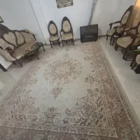 فرش ۱۲ متری  ماشینی ۵۰۰ شانه پاتریس
