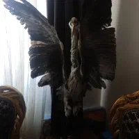 پرنده لک لک پست ساز