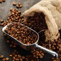 سرمایه گذار برای فروش قهوه دان
