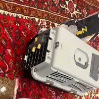 وسایل نو گربه