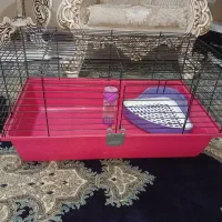 قفس سگ و خرگوش و خوکچه هندی
