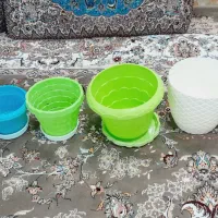 تعدادی گلدان سالم