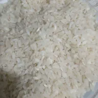 برنج کامفیروزی اعلا