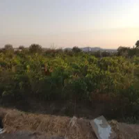باغچه چهار دیواری ۲۰۰ متری