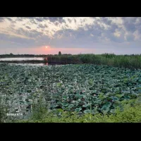فروش-زمین-255-متری-مسکونی-جاده-دریا