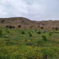 فروش زمین و معاوضه