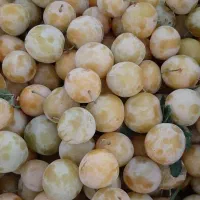الو طالقان