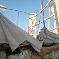 لانه‌ی کبوتراهنی