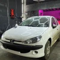 جلوپنجره تک خط206ریش سپرکاورلنت مه شکن207تایگرارسی
