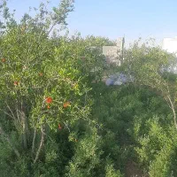 چهار دیواری