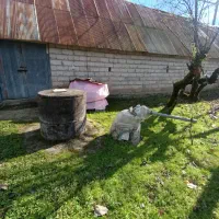 200متر-کامل-مسکونی-سند-تک-برگ