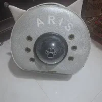 باکس و آغوشی سگ