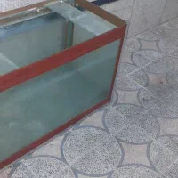 اکواریوم