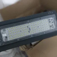 پرژگتور