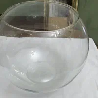 آکواریوم. تنگ ماهی بزرگ