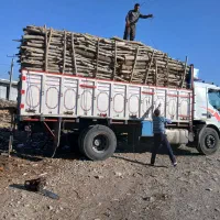 خرید انواع چوب به قیمت عمده