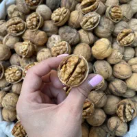 گردو با پوست درجه یک مراغه ایرانی