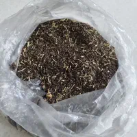 اسپند