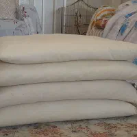 بالشت پَر