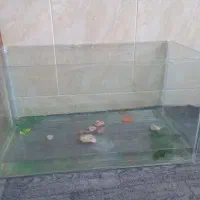 آکواریوم