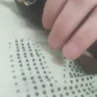 مرغ مینا معاوضه باجوجه عروس هلندی