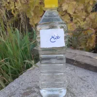 عرق نعنا طبیعی