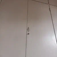 هم خانه