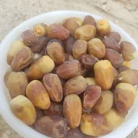 رطب کبکاب و خاصویی