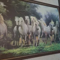 تابلو|تابلو، نقاشی، عکس|اراک, |دیوار