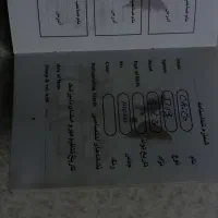 سگ خانگی