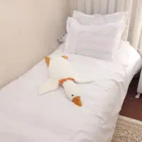 دو عدد روتختی ساتن ابریشم ترک