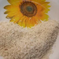برنج فجر