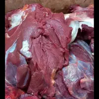 توزیع عمده گوشت گوساله