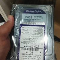 هارد 500 گیگ بنفش شرکتی