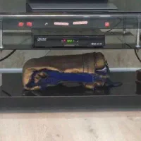 میز تلویزیون